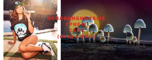 ешки Михайлов