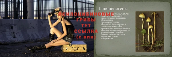стафф Алзамай