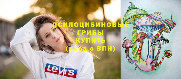 ПСИЛОЦИБИНОВЫЕ ГРИБЫ Михайловск